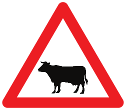 Traversée d’animaux