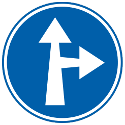 Obligation pour les conducteurs de suivre une des directions indiquées par les flèches